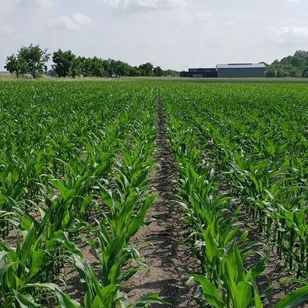 FARMS04 - FARMGREEN GmbH